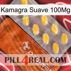 Kamagra Soft 100Mg 42